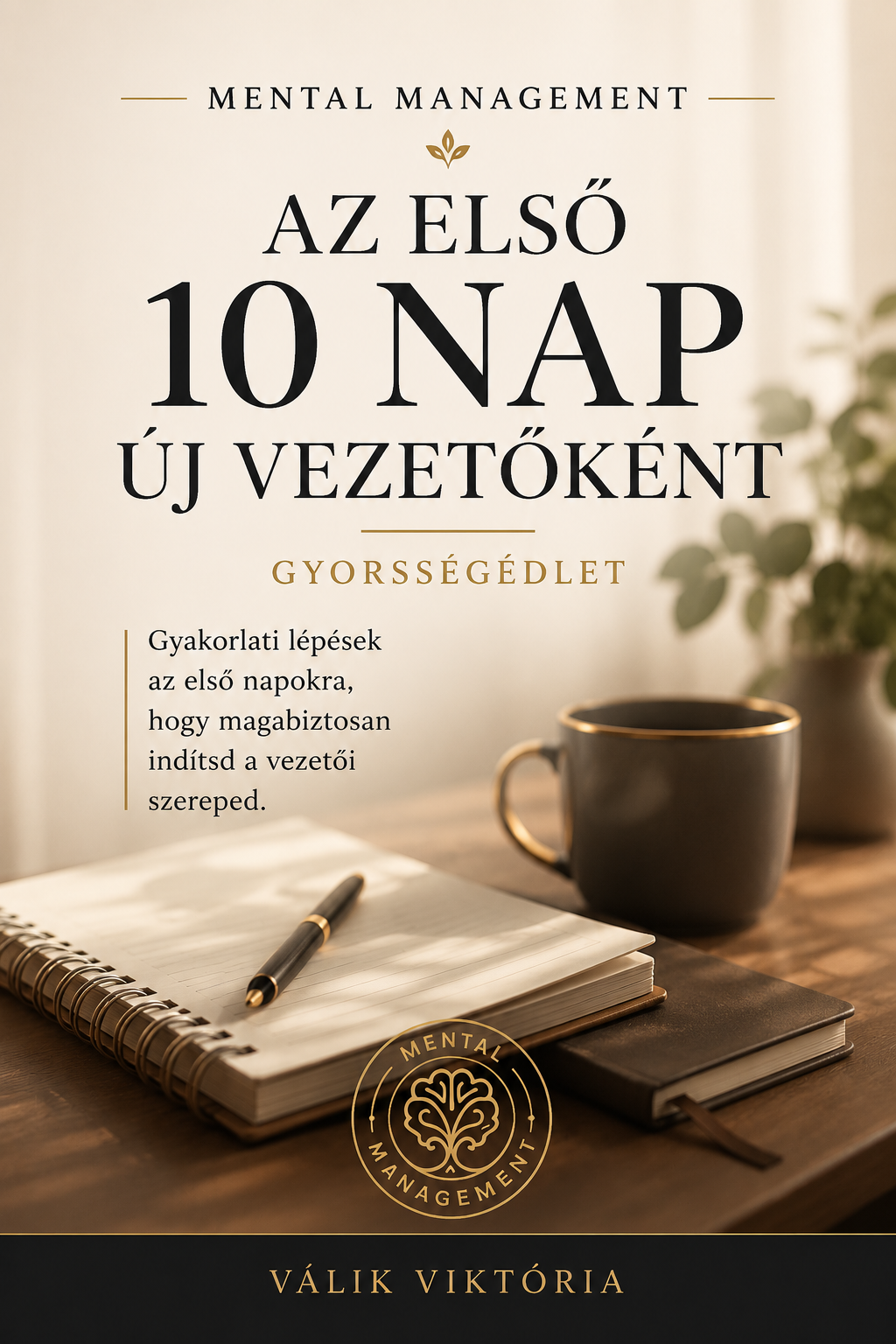 Az első 10 nap új vezetőként e-book borító